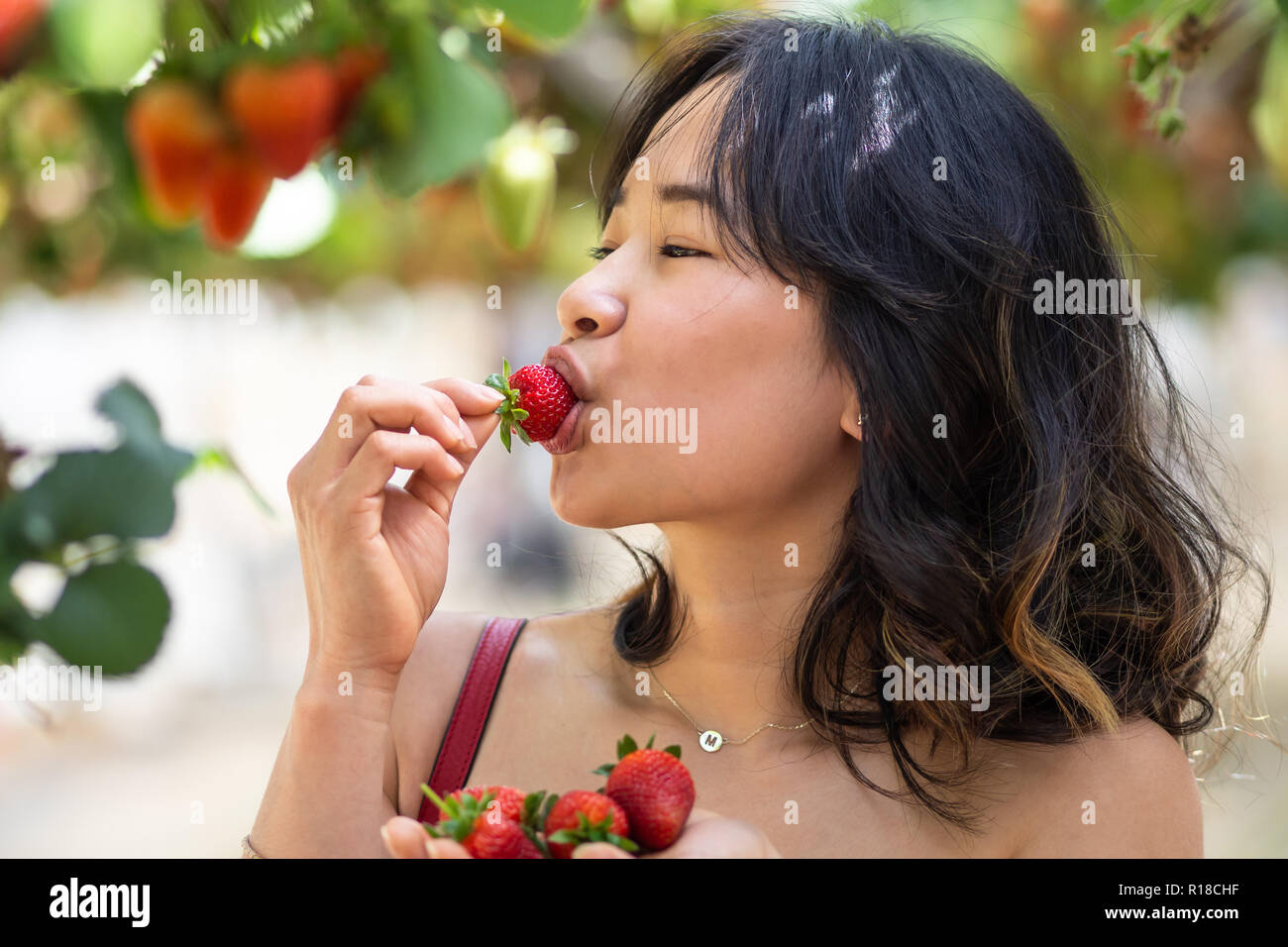 Young woman at a strawberry farm Stock Photo