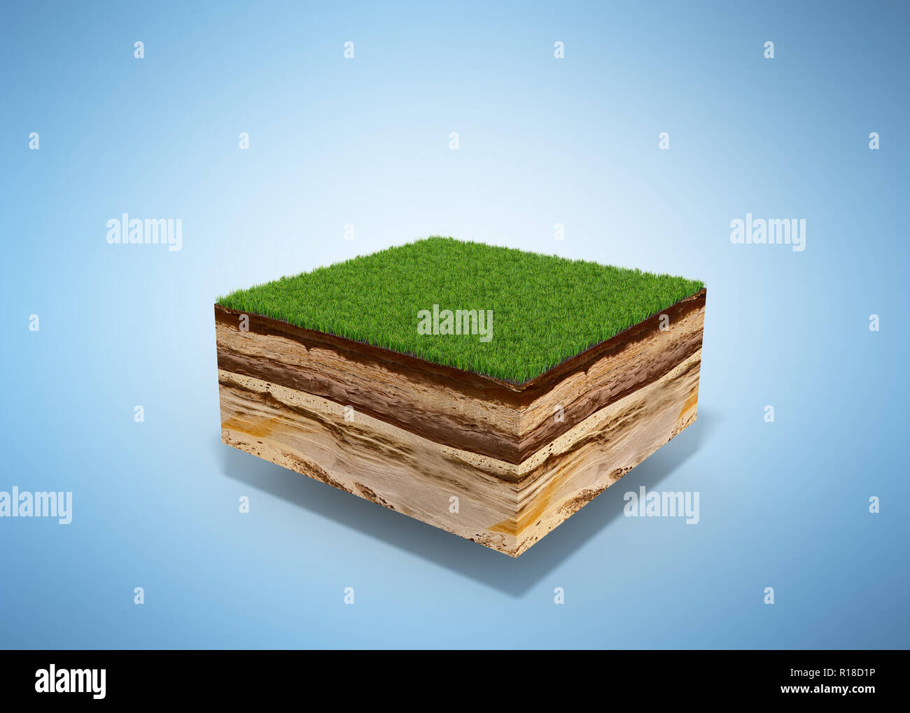 Soil cross section tree roots hi-res stock photography and images - Alamy