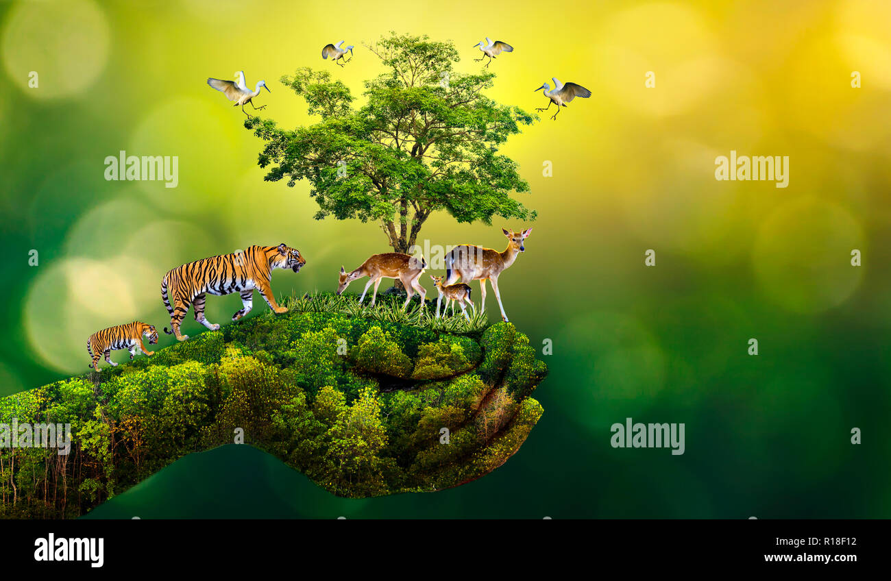 Save tree save tiger hi-res stock photography and images - Alamy