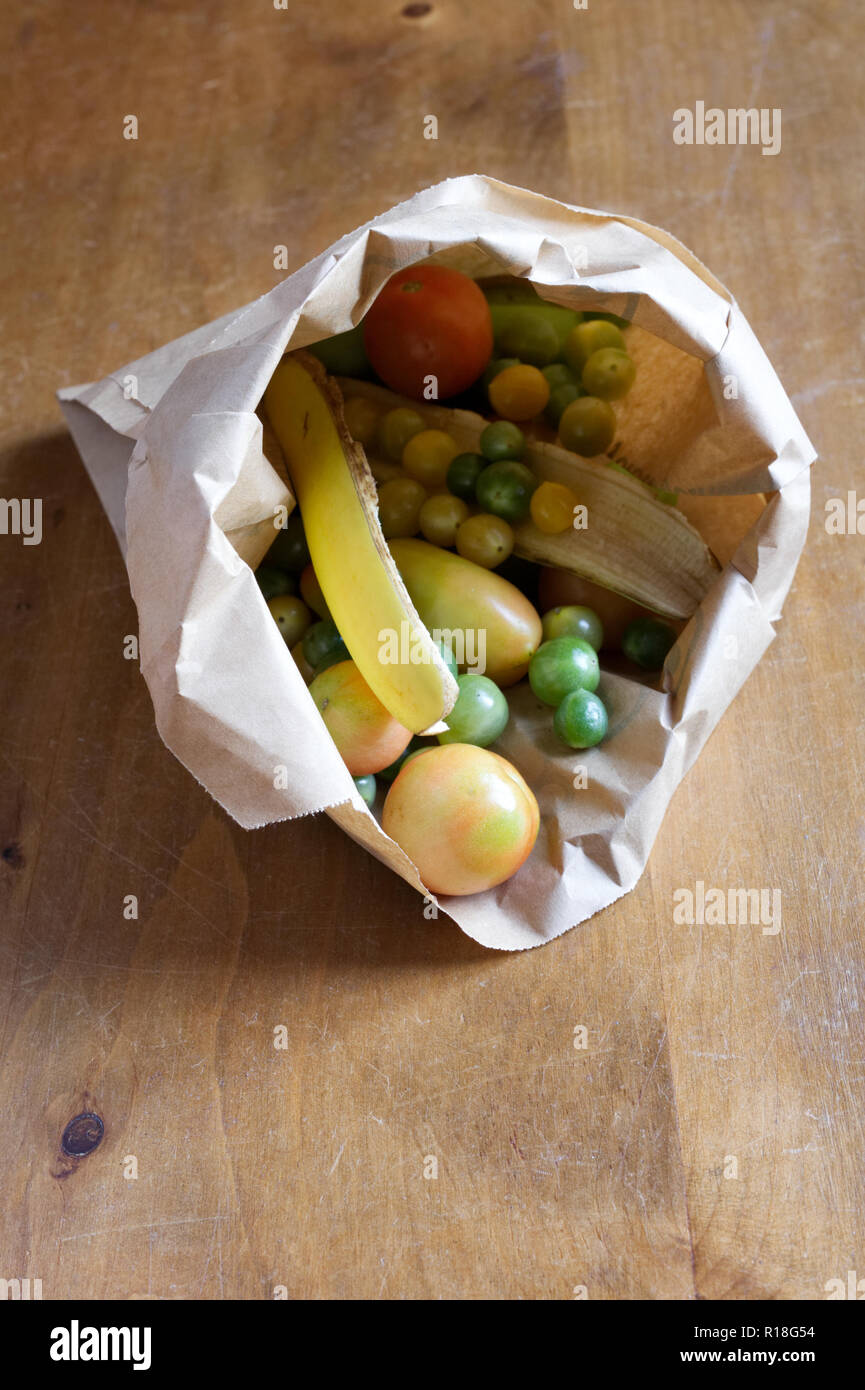 Ripening green tomatoes in a brown paper bag, with banana skins. Stock Photo