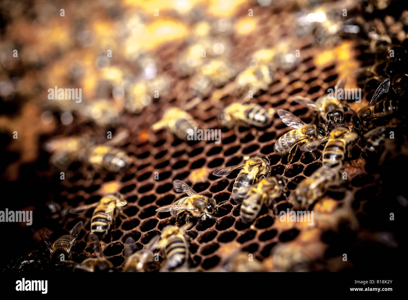 Beehive islands hi-res stock photography and images - Alamy