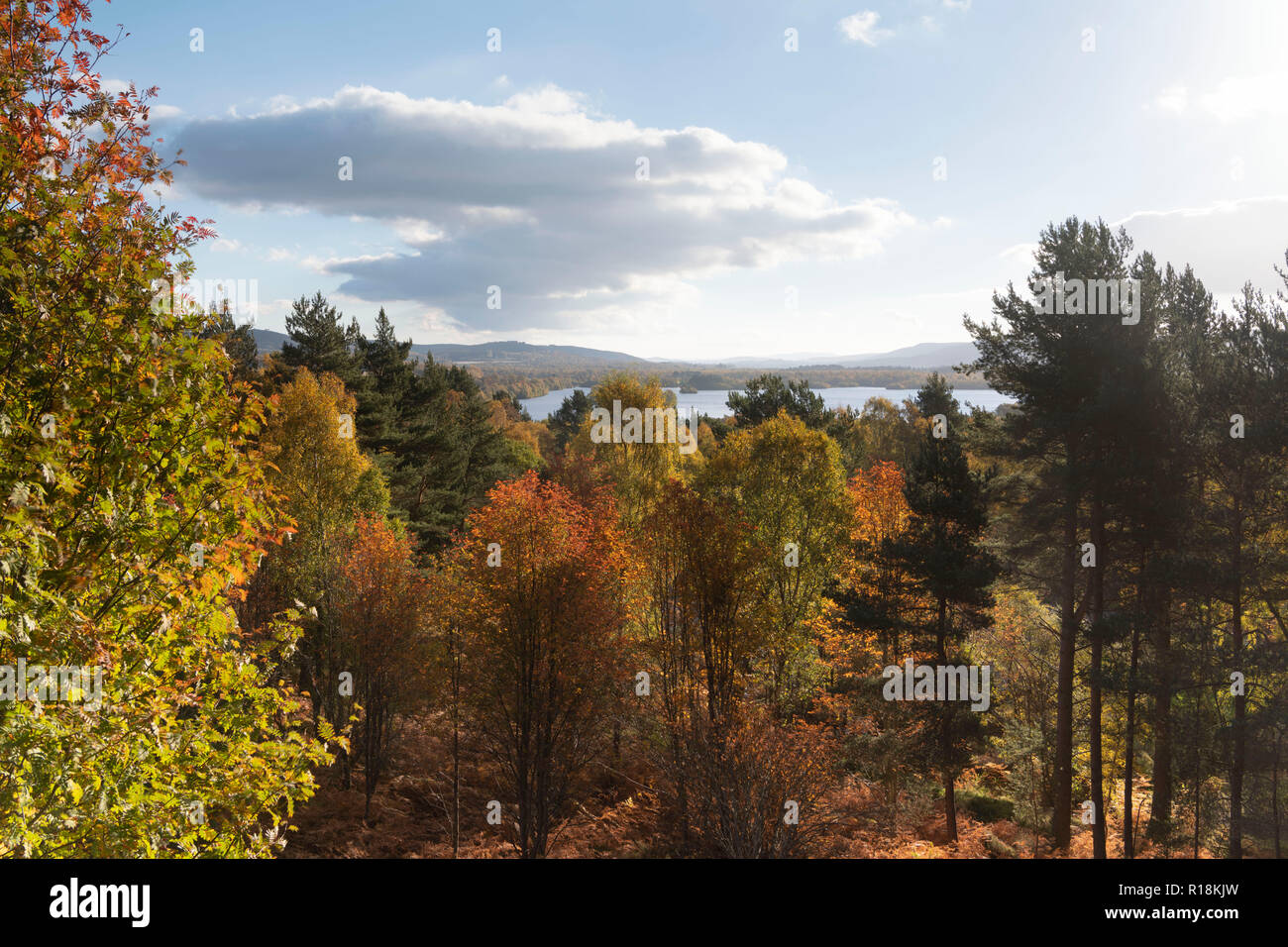 Early Morning View over Loch Kinnord in Autumn Stock Photo