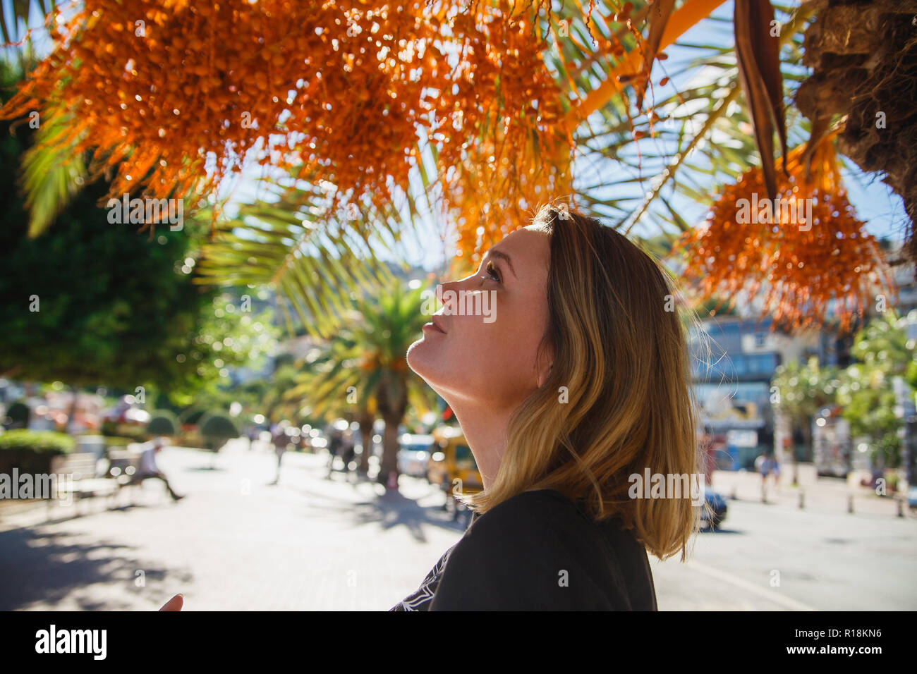 Female tourist looking to raw dates on date palm . Sunshine Stock Photo