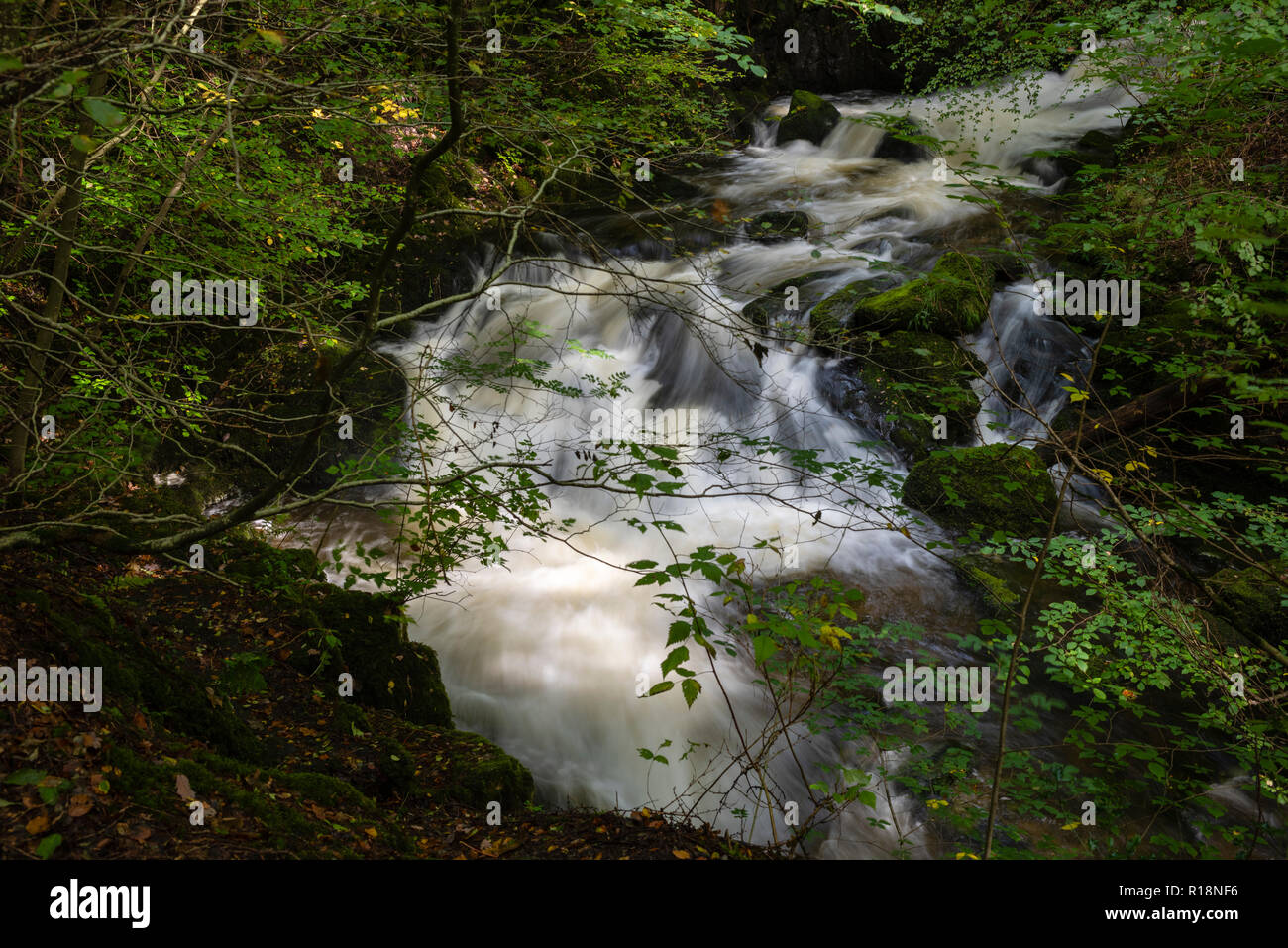 White water cascading through Stock Ghyll near Ambleside, Cumbria, UK Stock Photo