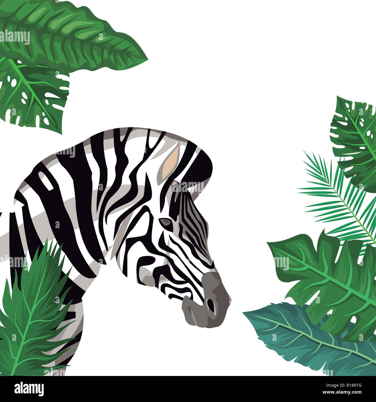 Zebra wild animal with leaves around vector illustration graphic design ...