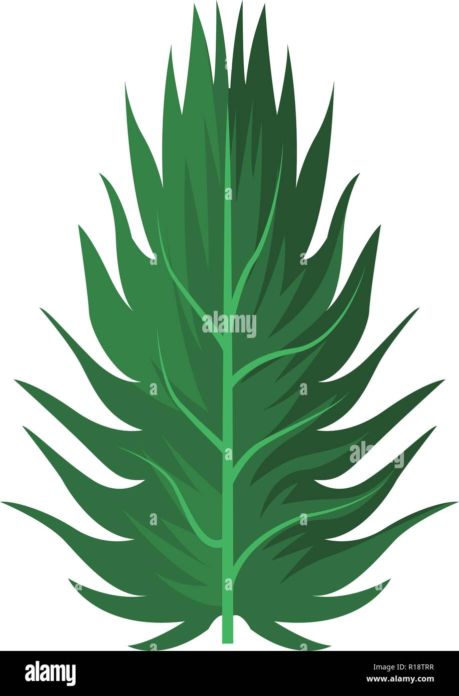 Tropical green leaf isolated vector illustration graphic design Stock ...