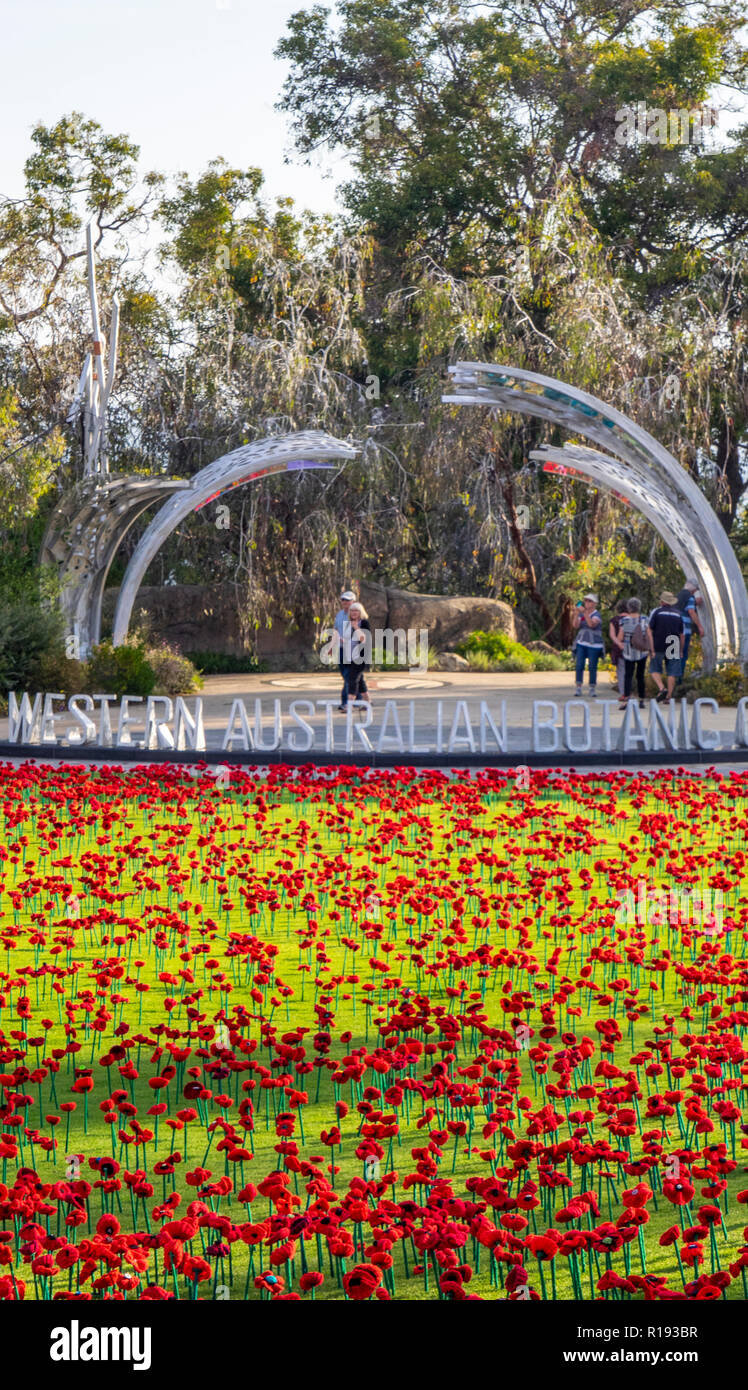 2018 Remembrance Day Poppy Project display of handcrafted poppies in Kings Park Perth Western Australia Stock Photo