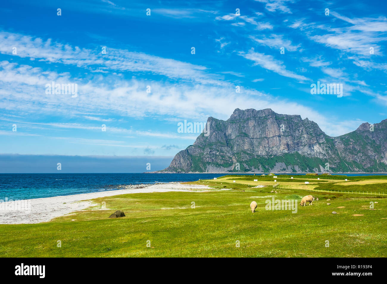 Utakleiv Beach on the Lofoten islands in Norway Stock Photo - Alamy