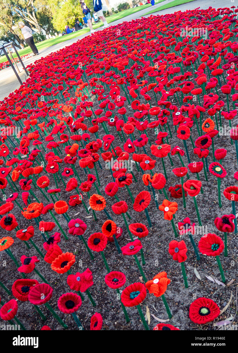 2018 Remembrance Day Poppy Project display of handcrafted poppies in Kings Park Perth Western Australia Stock Photo