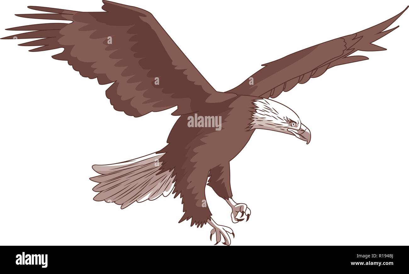 Eagle Bird Outside Free Photo On Pixabay