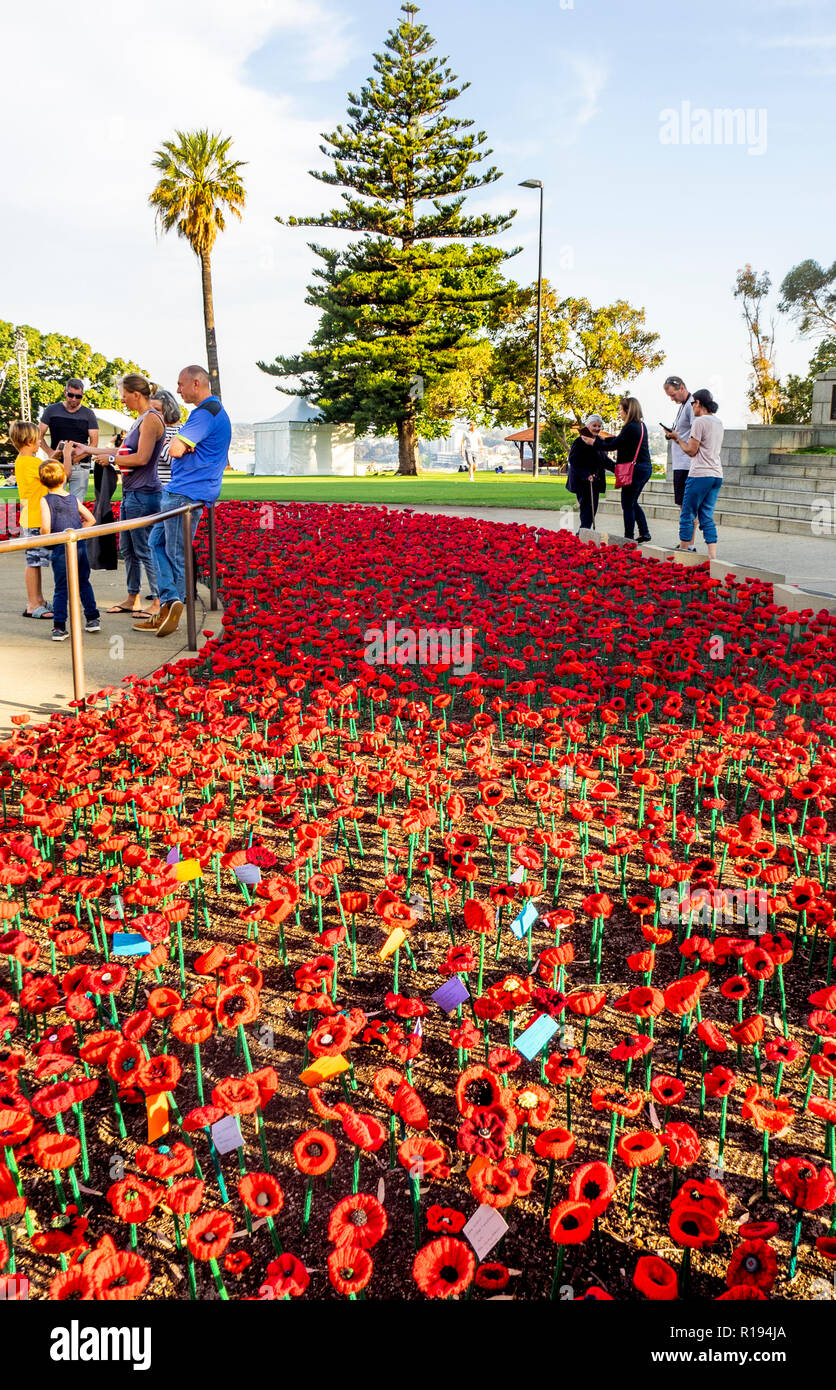 2018 Remembrance Day Poppy Project display of handcrafted poppies in Kings Park Perth Western Australia Stock Photo