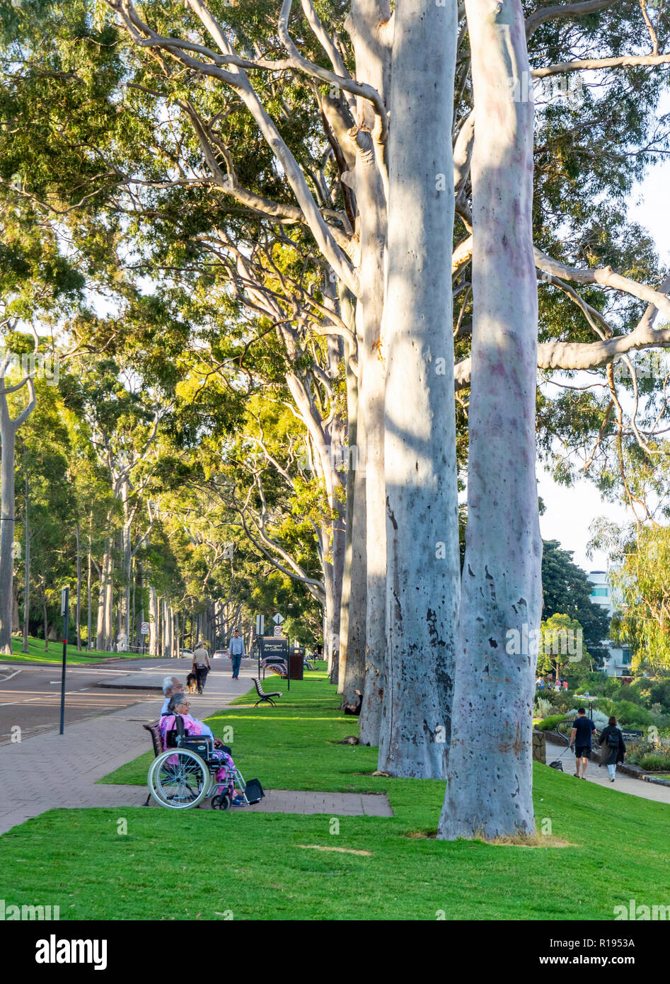 Elderly couple with a wheelchair sitting on a bench in Fraser Avenue Kings Park Perth Western Australia Stock Photo