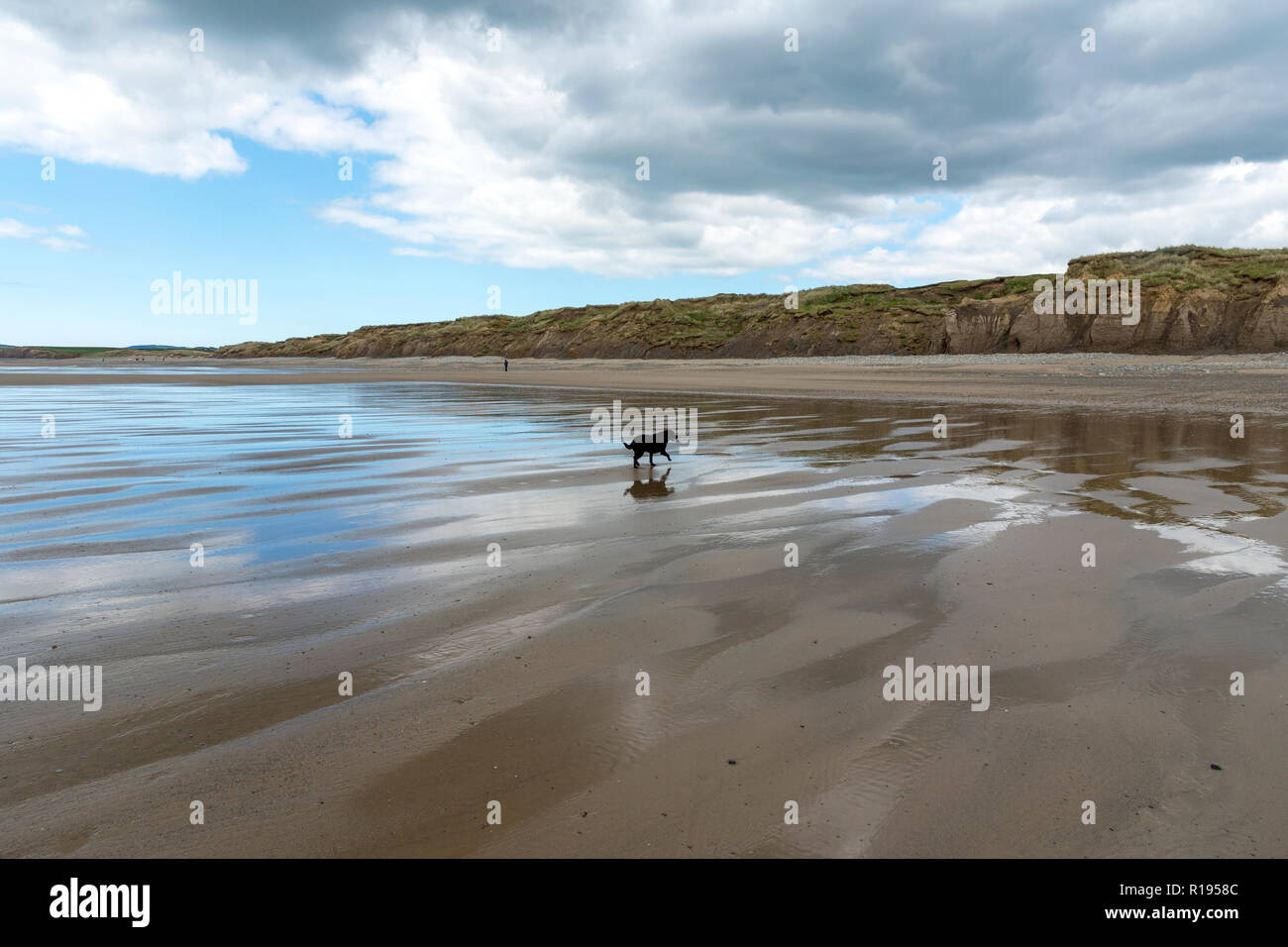 Views along Hells Mouth Beach   Gwynedd North Wales Stock Photo