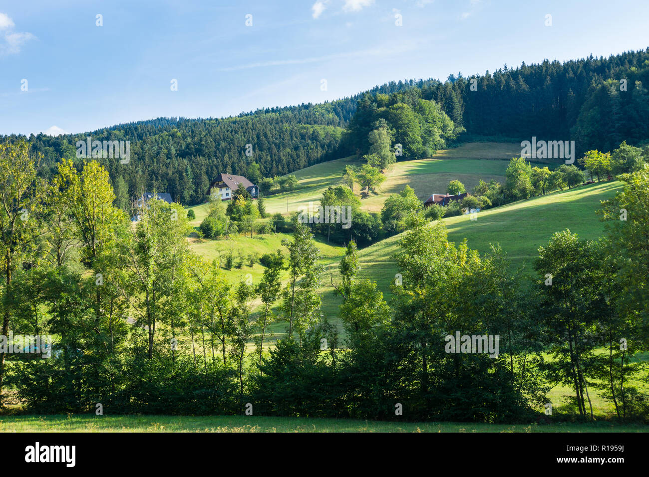 Germany, Black forest houses and village in rural countryside tourist destination Stock Photo