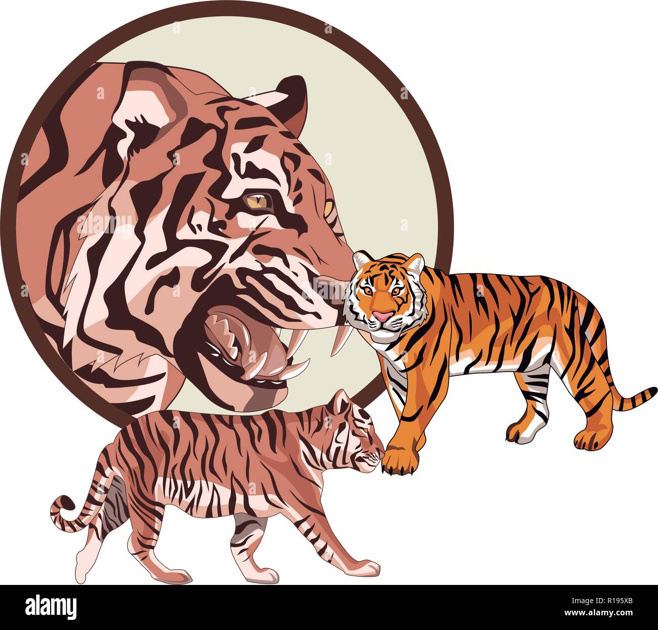 6277 Bengal Tiger Sketch Images Stock Photos  Vectors  Shutterstock