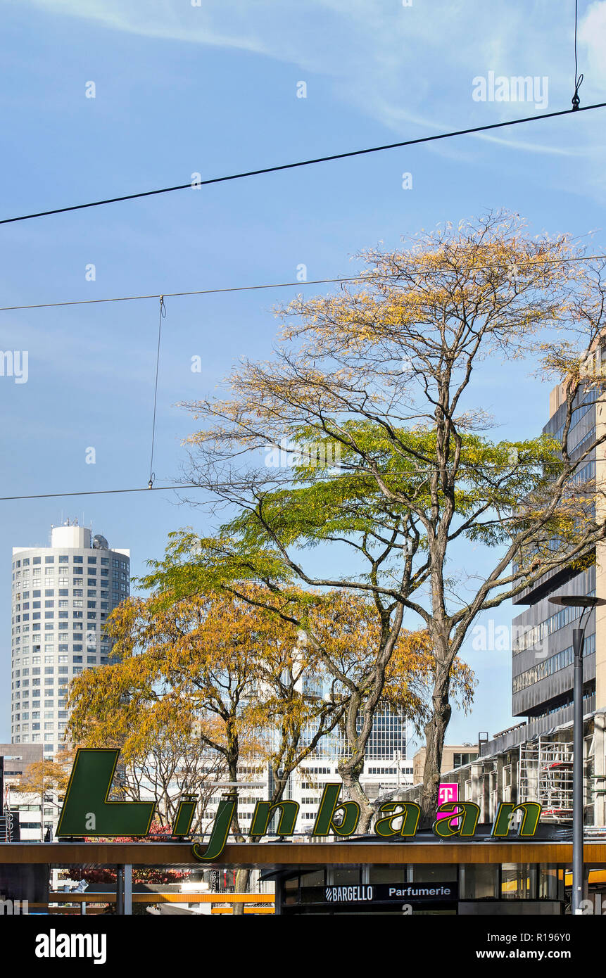 Rotterdam, The Netherlands, October 9, 2018: acacia trees in autumn colors towering over Lijnbaan shopping street Stock Photo