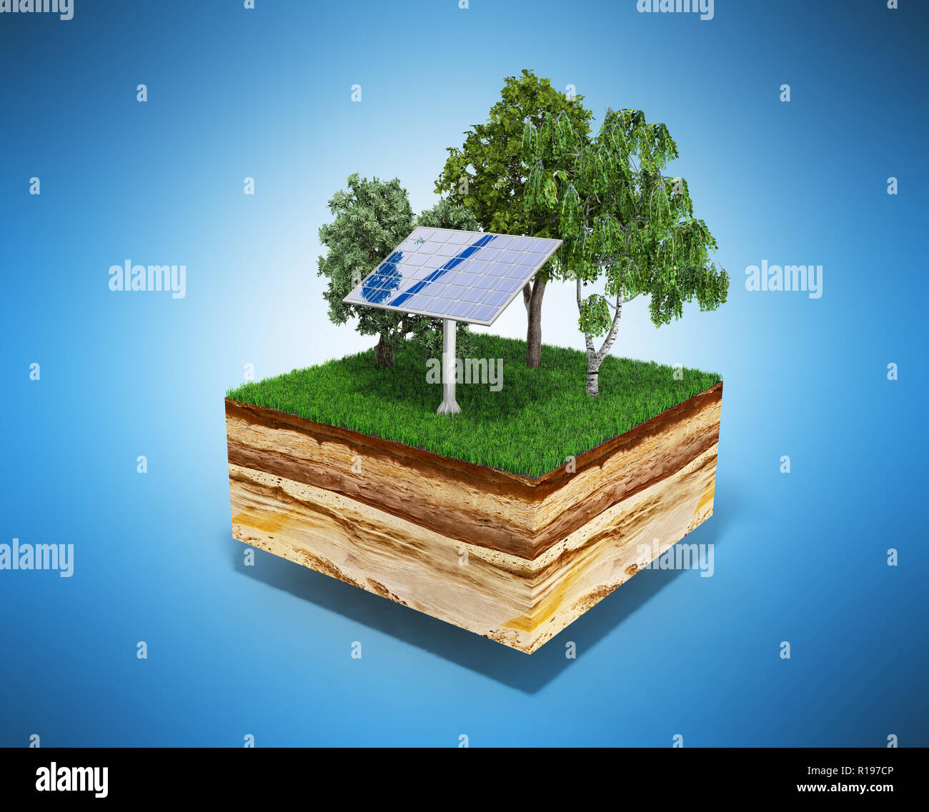 Soil cross section tree roots hi-res stock photography and images - Alamy
