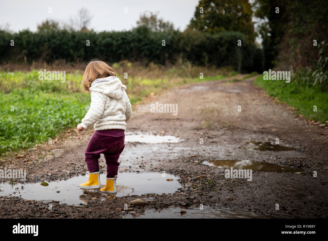Toddler girl, back view, splashing in puddles in muddy country road with yellow rain boots. Left copy space. Stock Photo