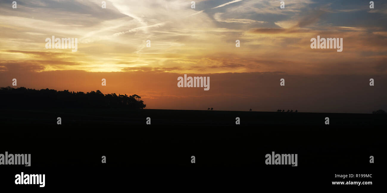 Newmarket Gallops High Resolution Stock Photography And Images Alamy