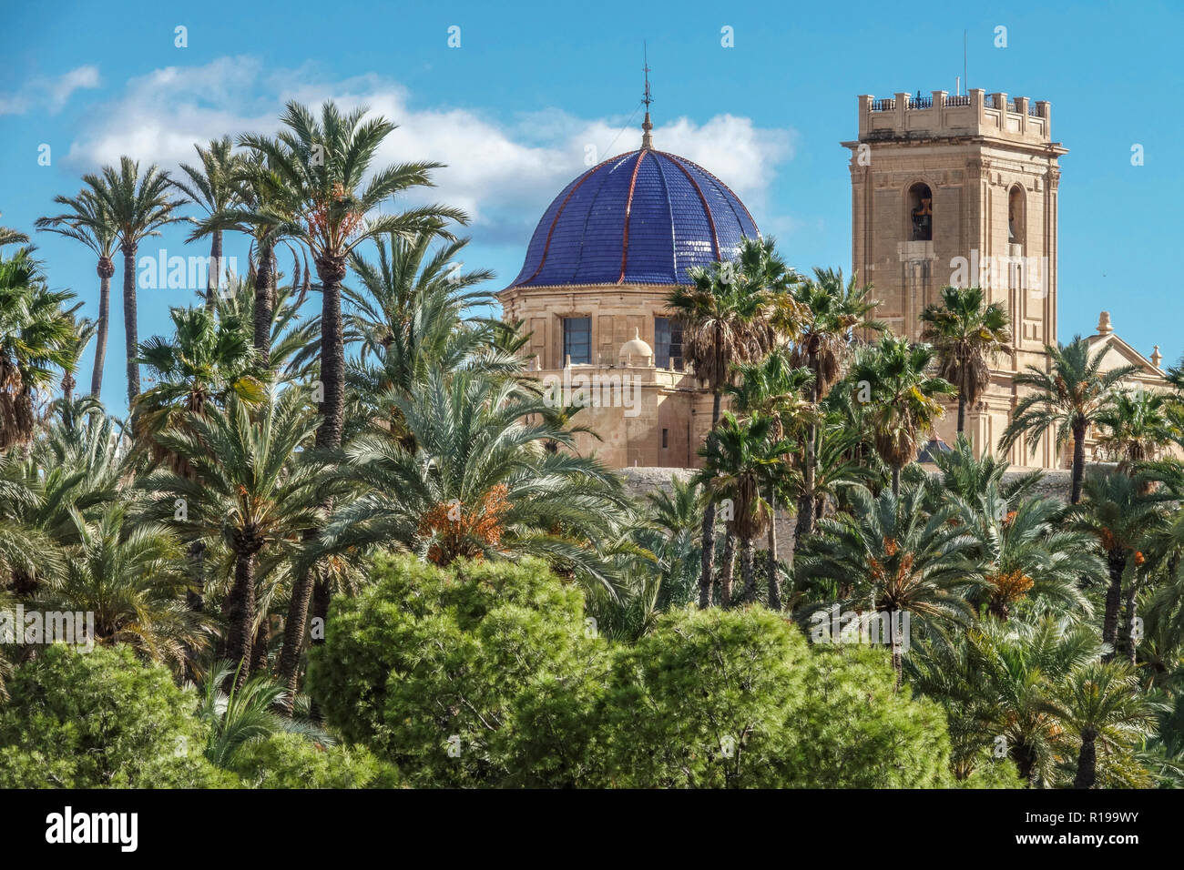Spain, Elche Palm tree, Spain UNESCO World Heritage sites, Elche Spain, Basilica de Santa Maria Stock Photo