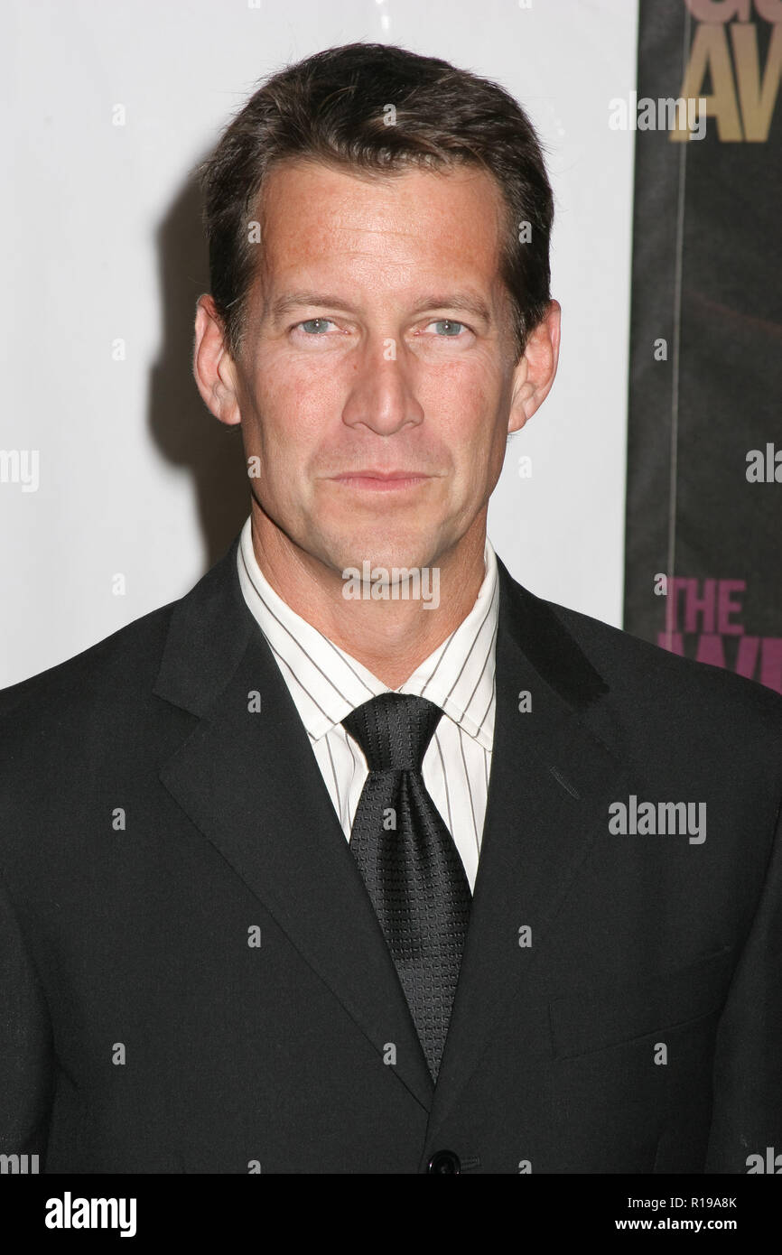 James Denton  01/14/06 G'Day LA: Australia Week 2006 - Penfolds Icon Gala Dinner @ The Hollywood Palladium, Hollywood photo by Fuminori Kaneko/HNW / PictureLux   (January 14, 2006) Stock Photo