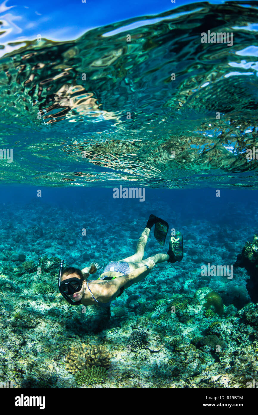 Snorkeling the pristine reefs on the remote Island of Alofi in The French Territory of Wallis and Futuna Islands. Stock Photo