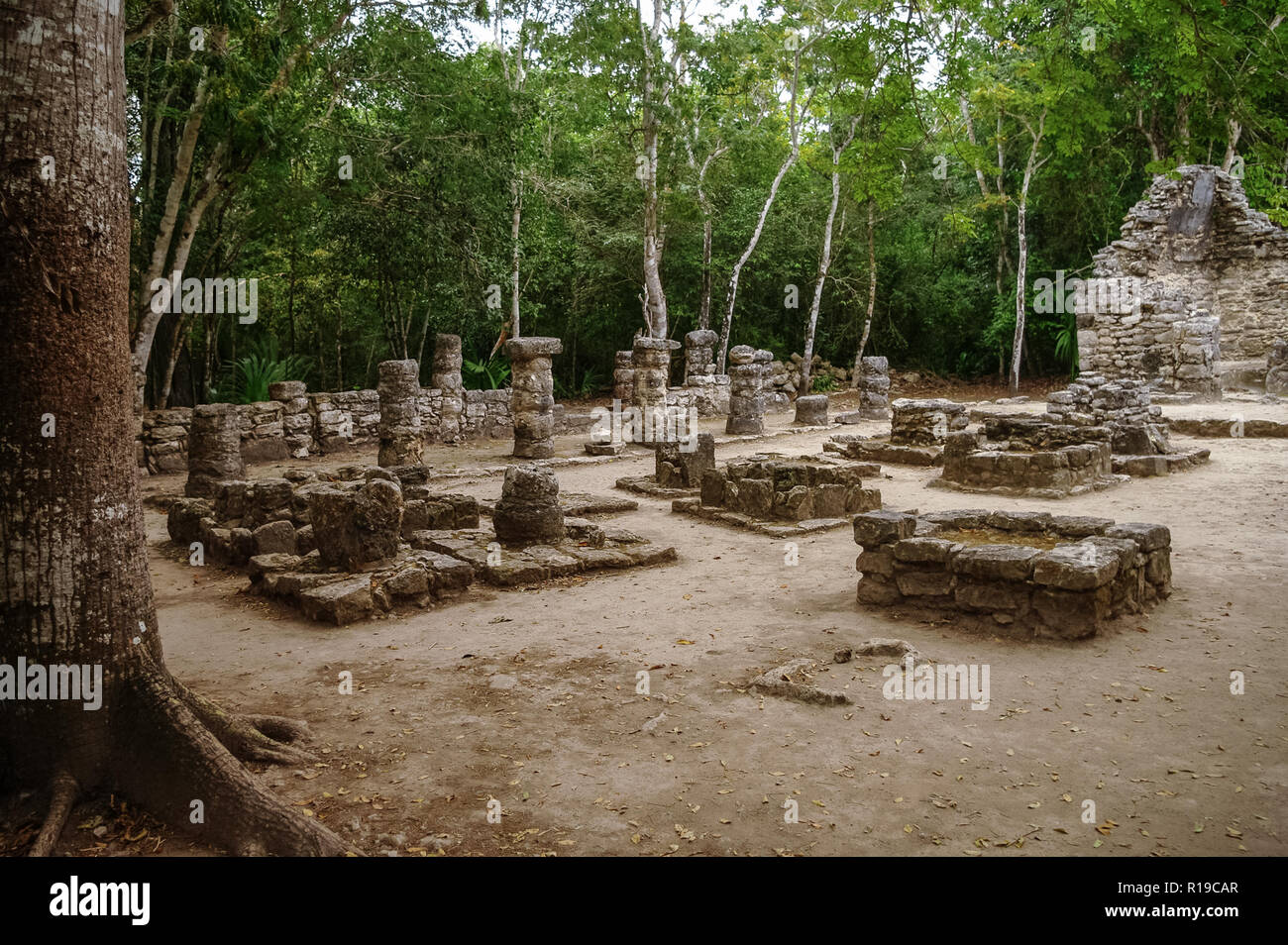 Ruins of mayan Pyramid in Coba. Mexico. Stock Photo