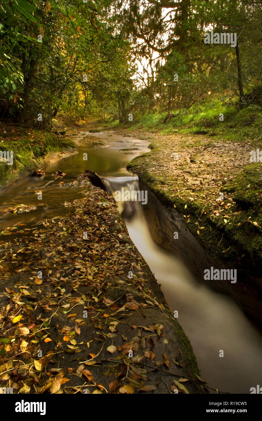 Hamsterley Forest Waterfall Stock Photo