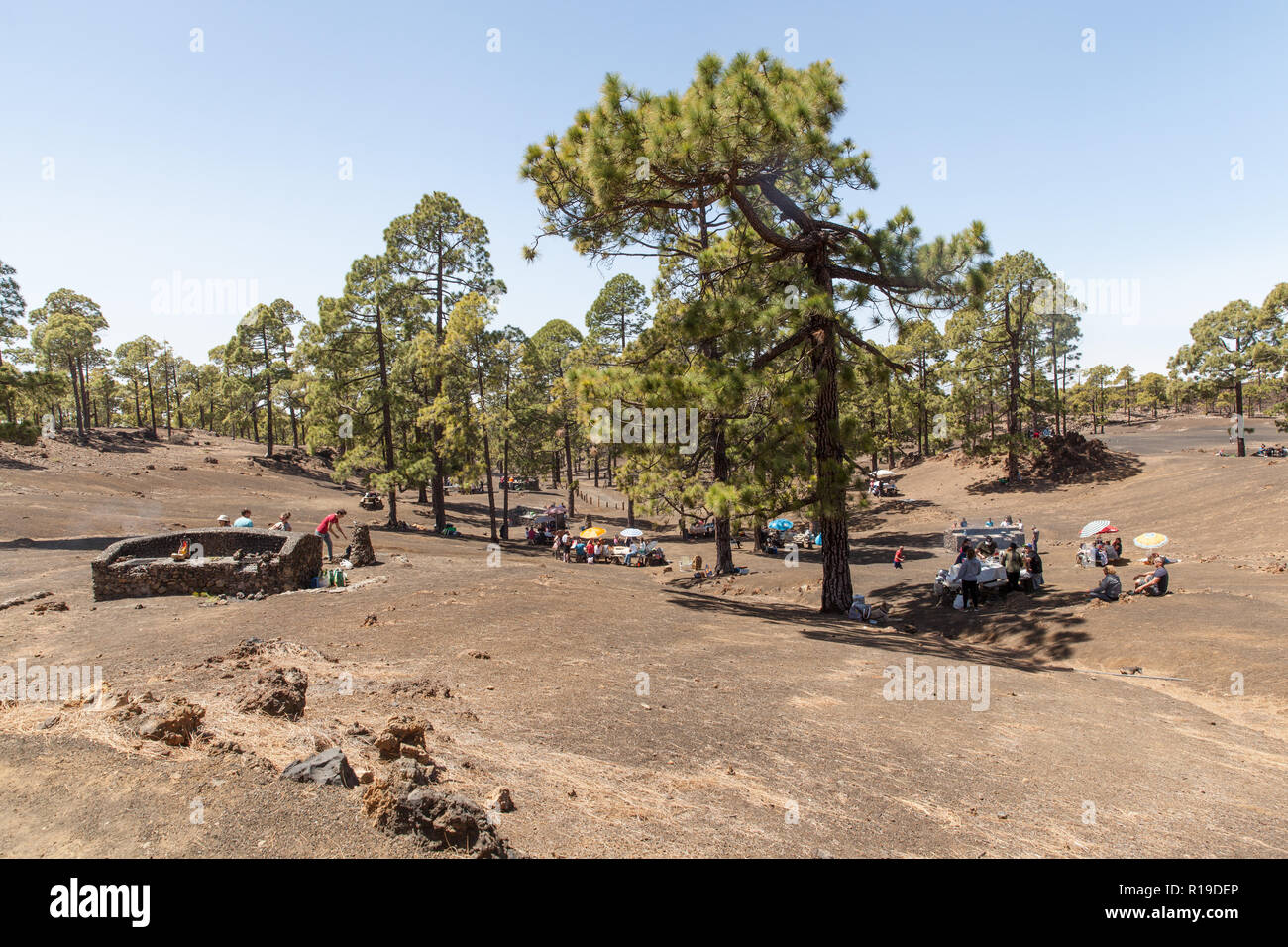 Chio recreation area and campsite (Tenerife island Stock Photo Alamy