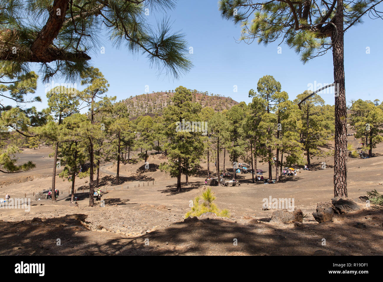 Chio recreation area and campsite (Tenerife island Stock Photo Alamy