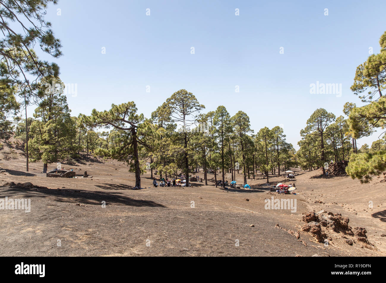 Chio recreation area and campsite (Tenerife island Stock Photo Alamy