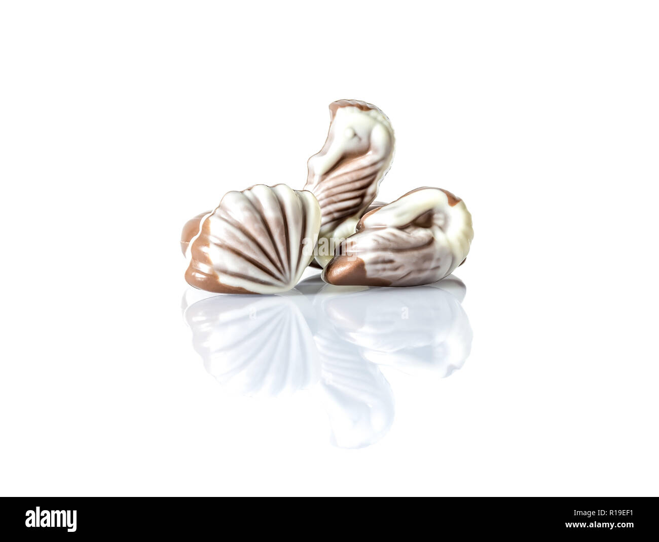 Chocolate candy in the form of sea shells on white table with reflection isolated on white background Stock Photo