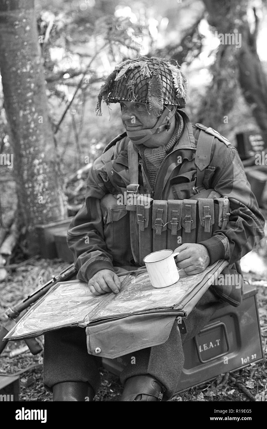 Home guard with map and coffee Stock Photo