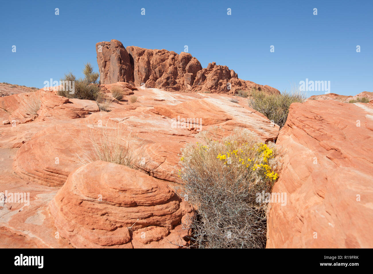 Fire wave rock formation in Valley Of Fire National Park Stock Photo