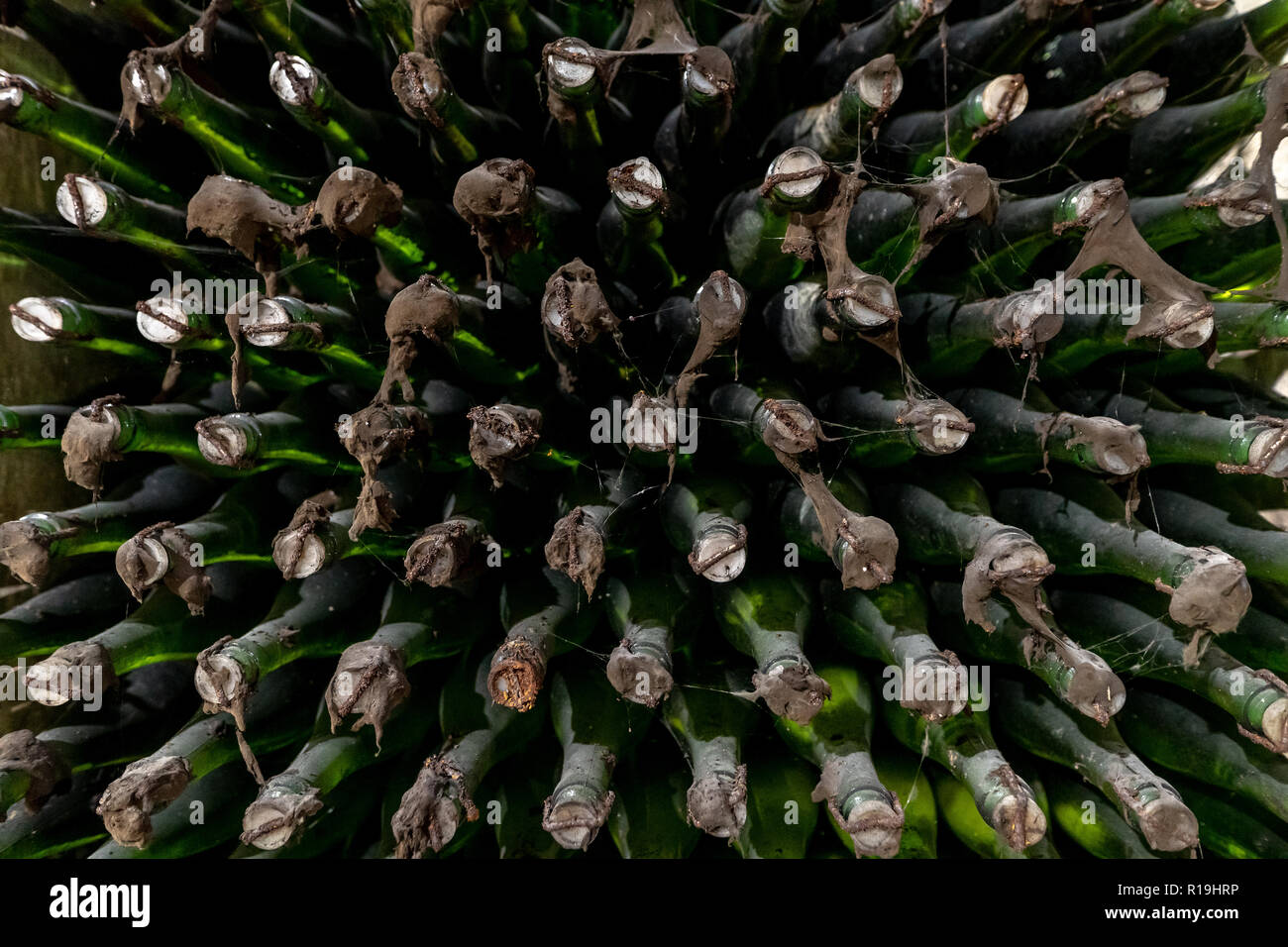 Old wine bottles covered in dust and mold Stock Photo