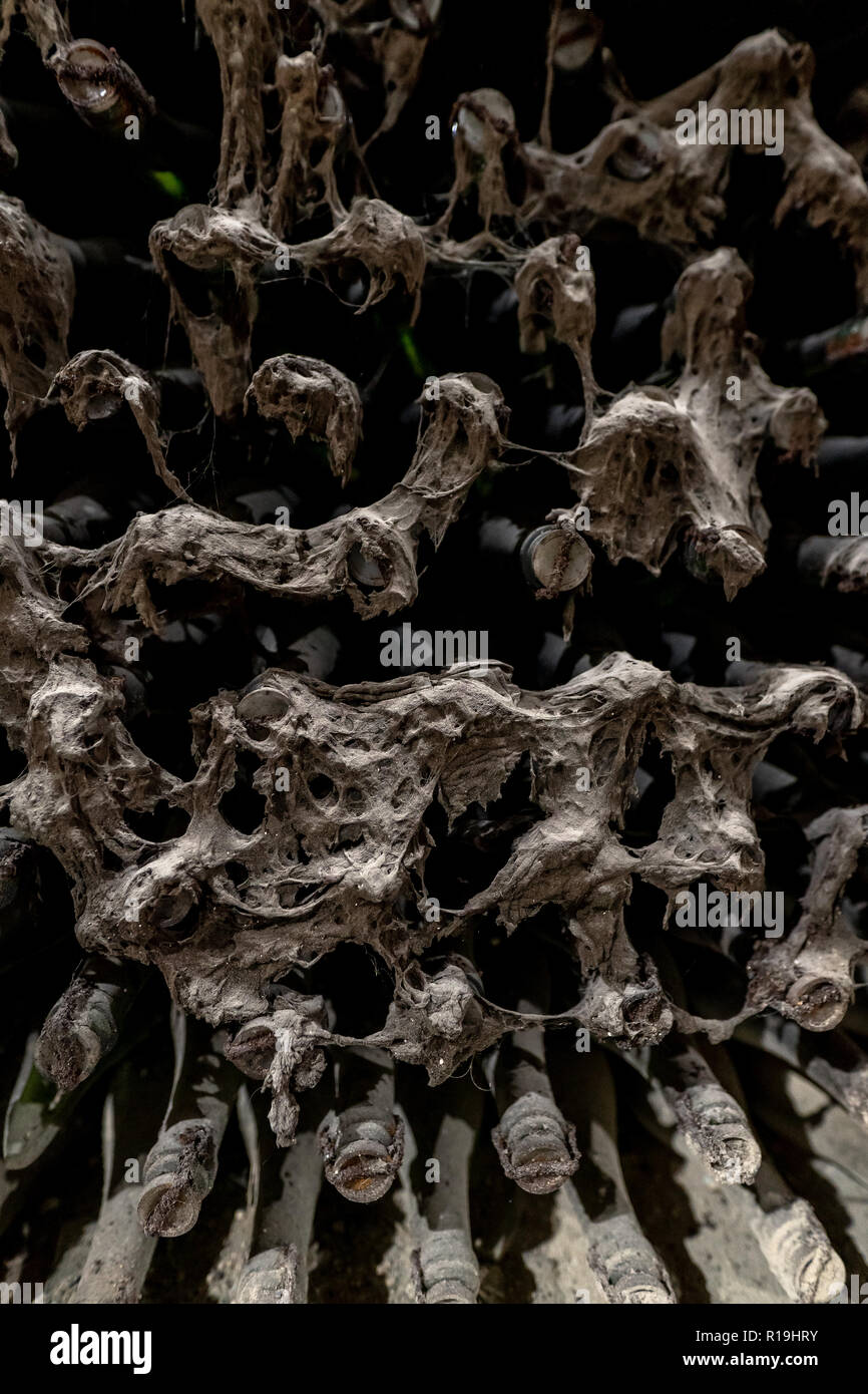 Old wine bottlers in underground cellar covered in mold Stock Photo Alamy