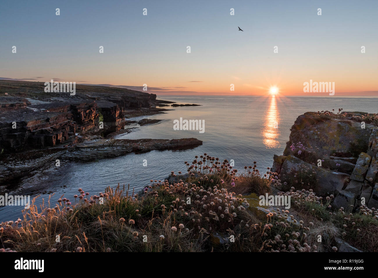 Cliffs at Deerness Nature reserve , Mainland Orkney at sunrise. Stock Photo