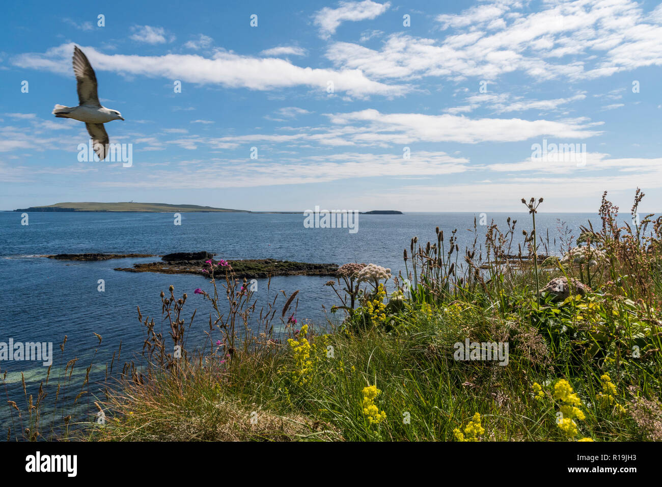 View to Egilsay from cliff walk on Rousay Stock Photo