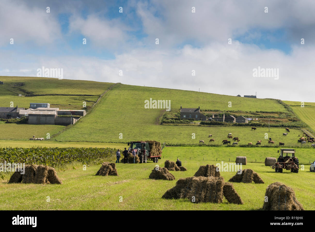 Farming on Mainland Orkney Stock Photo