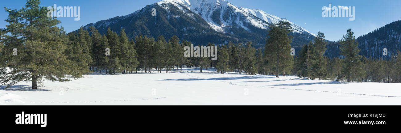 Winter landscape of snowy mountains on a clear day. The concept of travel, scenic views of rocky peaks and slopes with coniferous forest. Stock Photo