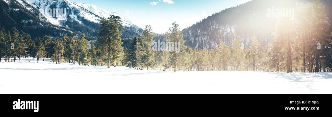 Winter landscape of snowy mountains on a clear day. The concept of travel, scenic views of rocky peaks and slopes with coniferous forest. Stock Photo