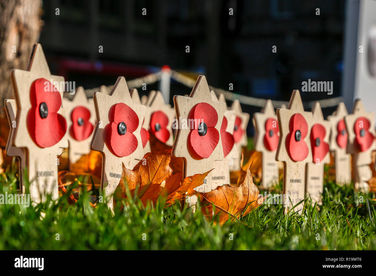 Glasgow, UK. 10th Nov, 2018. As the Nation approaches Remembrance Sunday, members of the public continue to visit the British Legion Garden of Remembrance to pay their respects and to leave poppies and crosses with their personal messages to those who were killed in all wars. The garden allows for all regiments, religions and nationalities to be recognised and remembered. Credit: Findlay/Alamy Live News Stock Photo
