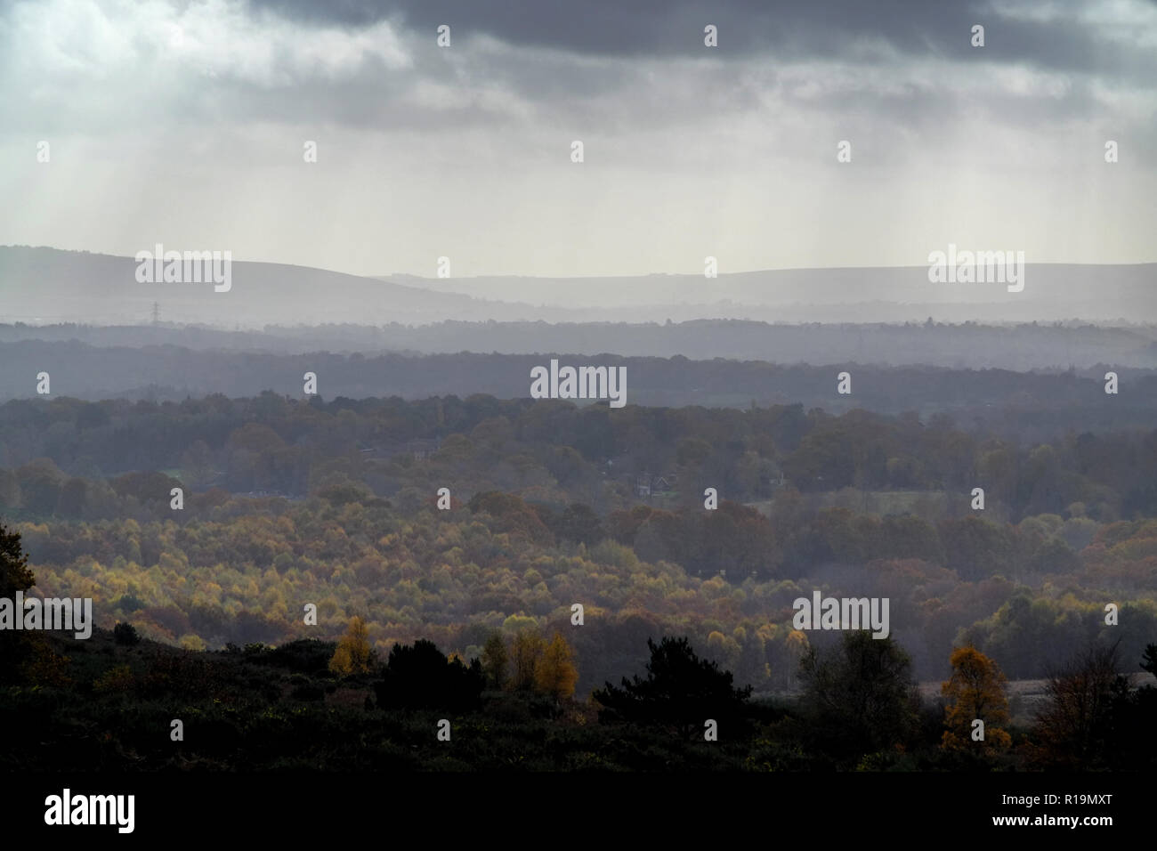 Nutley, East Sussex, UK. 10th November 2018. Autumn colours shine through during unsettled weather in the Ashdown Forest, East Sussex. © Peter Cripps/Alamy Live News Stock Photo