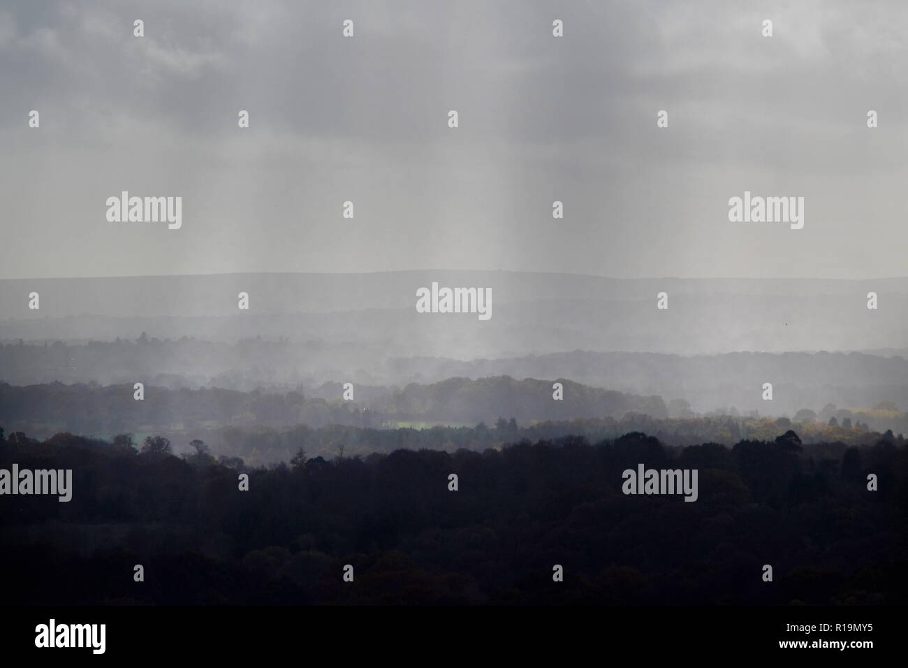 Nutley, East Sussex, UK. 10th November 2018. Autumn colours shine through during unsettled weather in the Ashdown Forest, East Sussex. © Peter Cripps/Alamy Live News Stock Photo