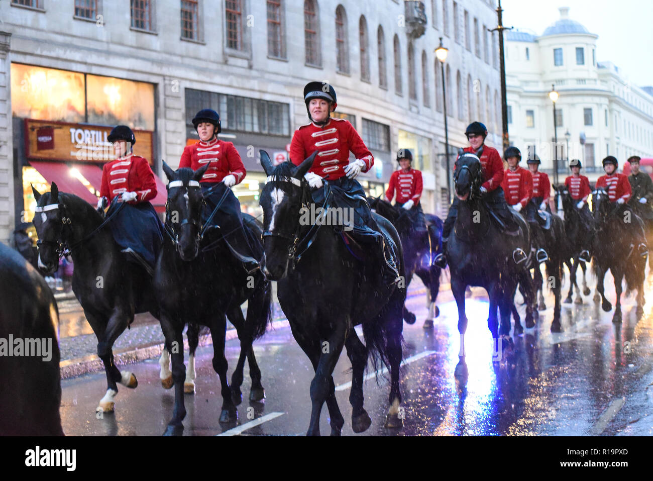First Aid Nursing Yeomanry (Princess Royal’s Volunteer Corps) female