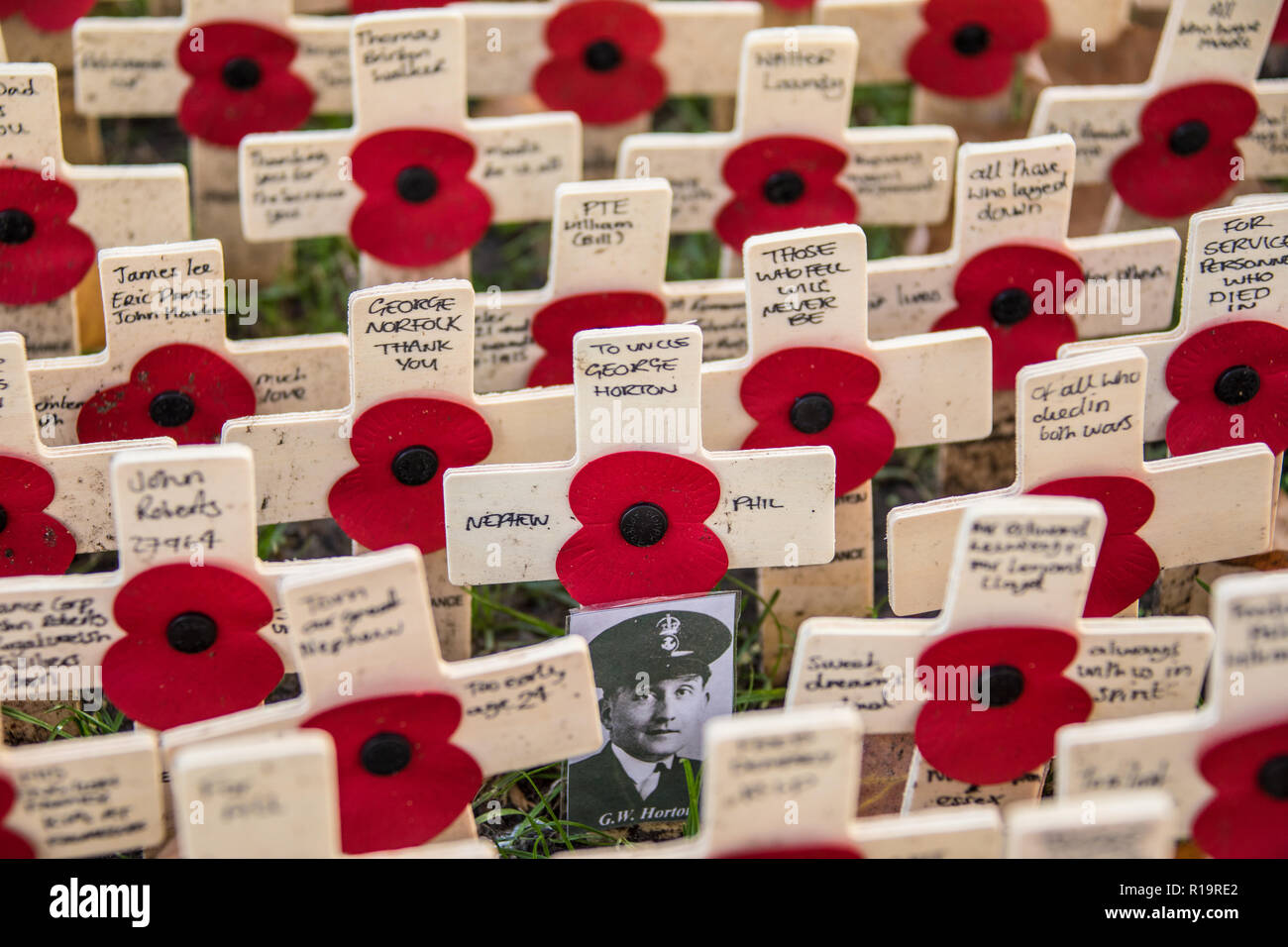 London, UK. 10th Nov, 2018. A black & white picture amongst the lines of poppy crosses at the Westminster Abbey Field of Remembrance. Chief Petty Officer George Horton (pictured) was one of the 1,415 men lost when HMS Hood was sunk in the Denmark Strait on 24th May 1941 during WW2. Credit: David Rowe/Alamy Live News Stock Photo