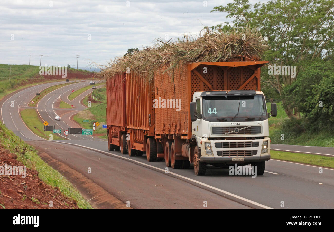 ENGENHEIRO BELTRÃO, PR - 09.11.2018: COLHEITA MECANIZADA DE CANA DE ACUCAR - Mechanical harvesting of sugarcane in rural property in Engenheiro Beltrão, in the Center-West Region of Paraná. In the photo, the sugarcane truck travels along the PR-317 highway. (Photo: Dirceu Portugal/Fotoarena) Stock Photo