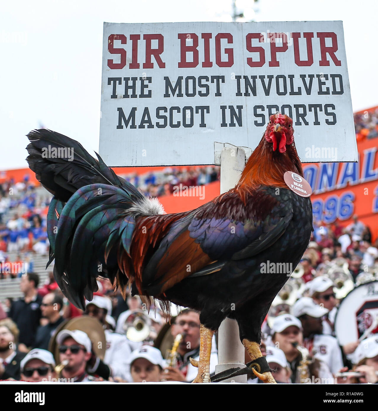 Nov 10 - Gainesville, FL, U.S.: South Carolina's mascot Sir Big Spur