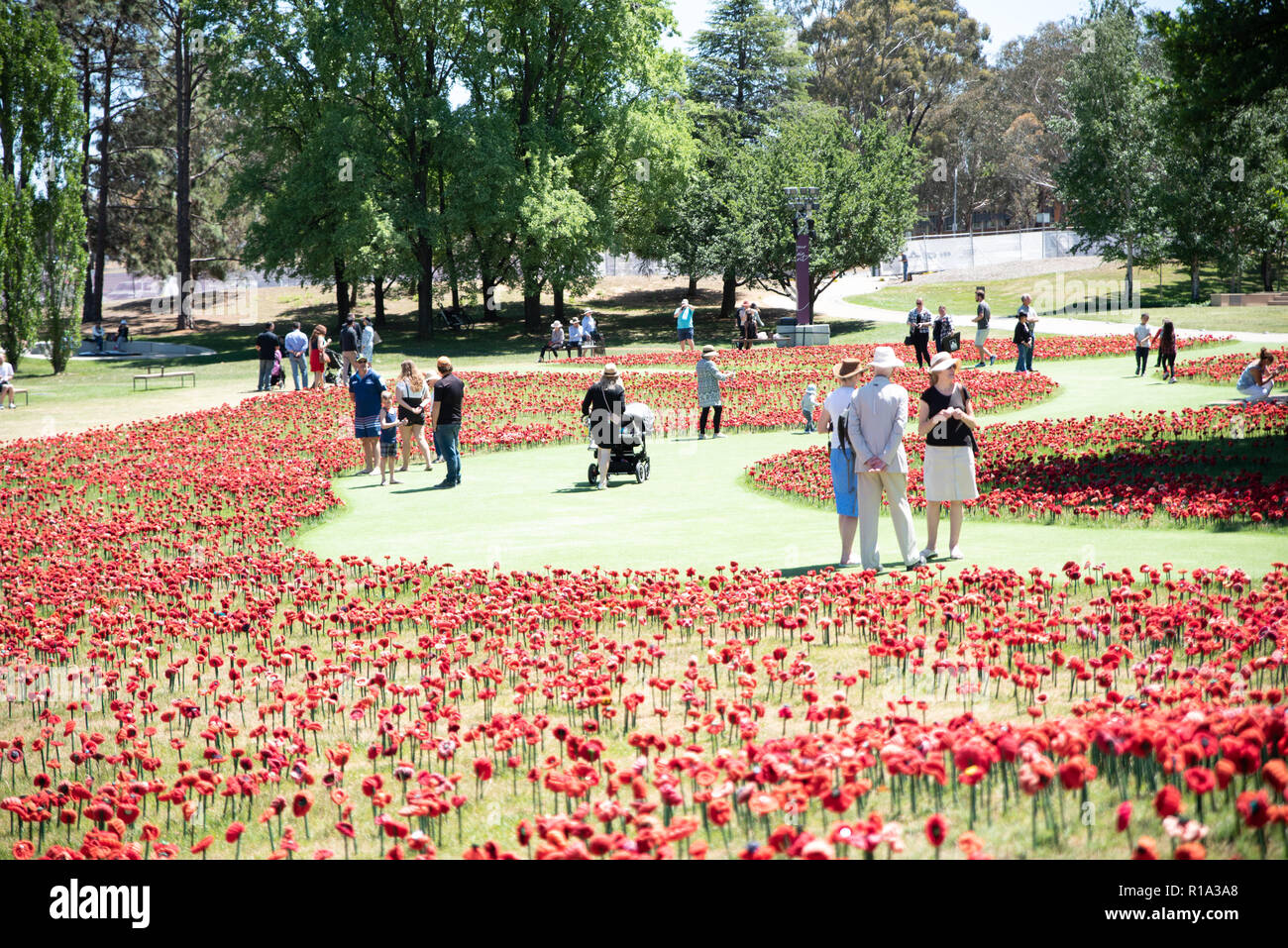 Canberra, Australia. 11th Nov, 2018. Crowds gather to pay respect, 11-November-2018, Remembrance Day, Canberra War Memorial, Australia Credit: Michael Miller/Alamy Live News Stock Photo