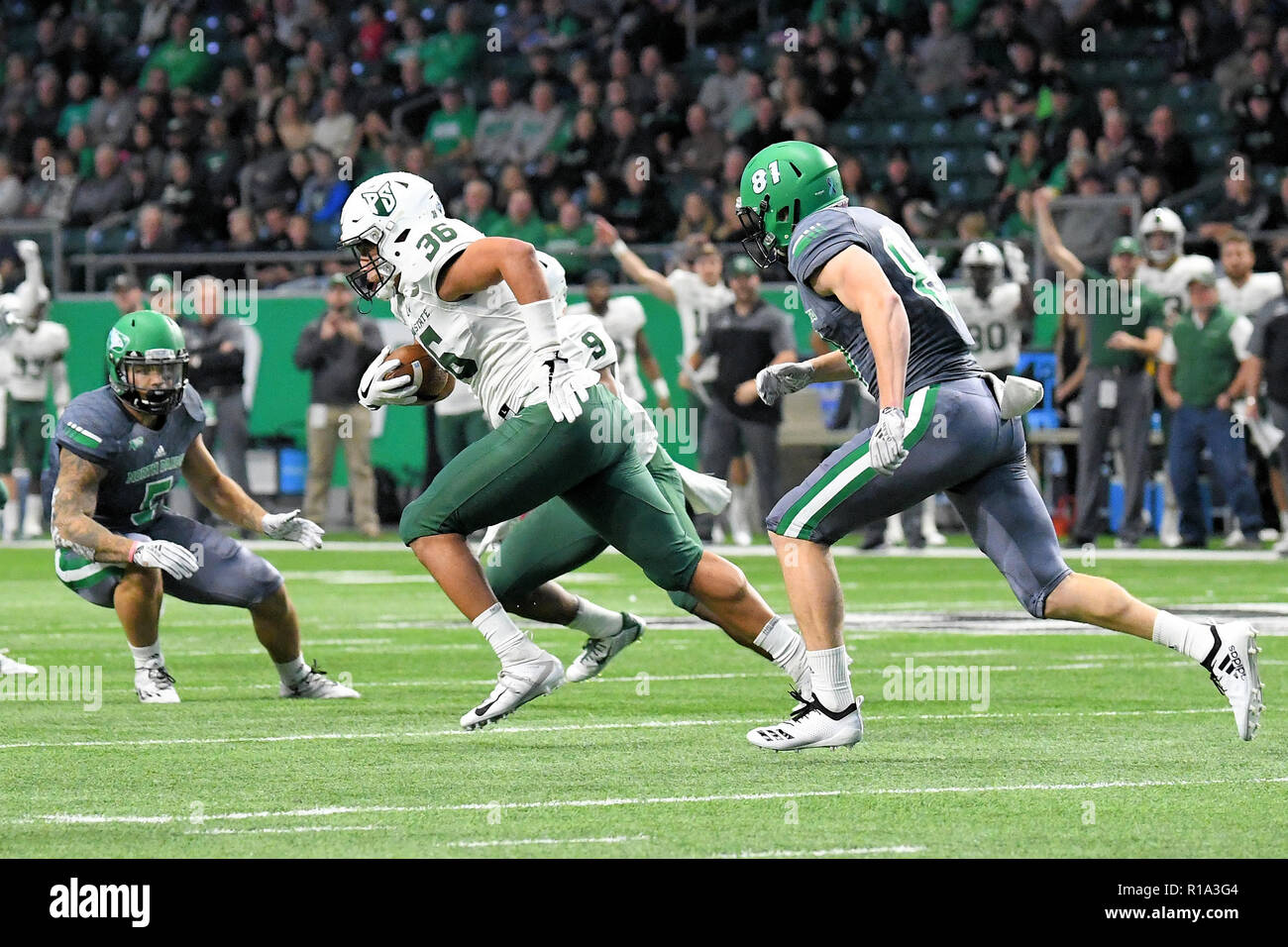 Grand Forks, ND, USA. 10th Nov, 2018. North Dakota Fighting Hawks wide receiver Luke Stanley (81) purses Portland State Vikings linebacker Sam Bodine (36) after he intercepted a pass during a NCAA football game between the Portland State Vikings and the University of North Dakota Fighting Hawks at the Alerus Center in Grand Forks, ND. North Dakota defeated Portland State 17-10. Russell Hons/CSM/Alamy Live News Stock Photo